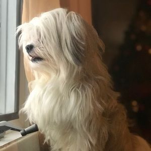 Meet your Posher, Yalerin